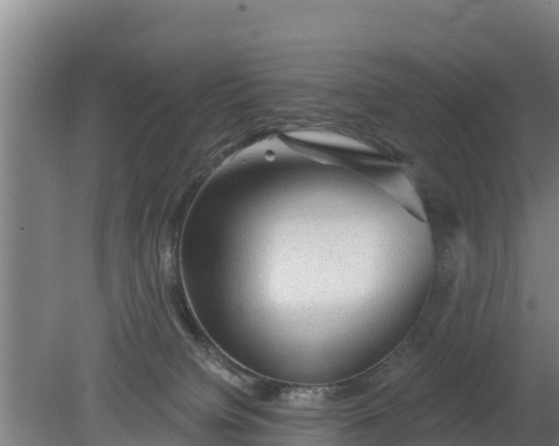 X0000079580084200612152117