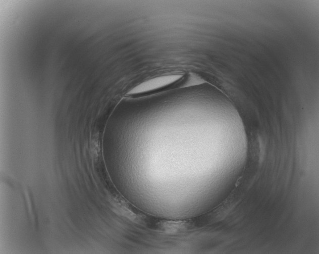 X0000079580085200612152117