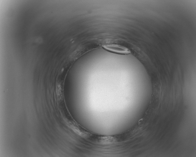 X0000079580087200612152117