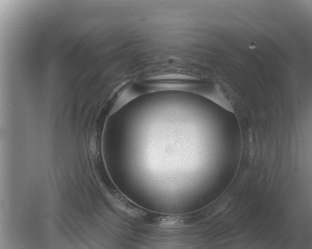 X0000079580088200612152117