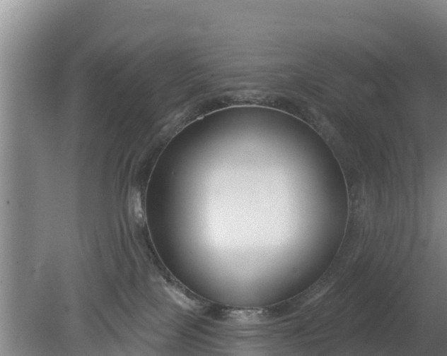 X0000079580089200612152117