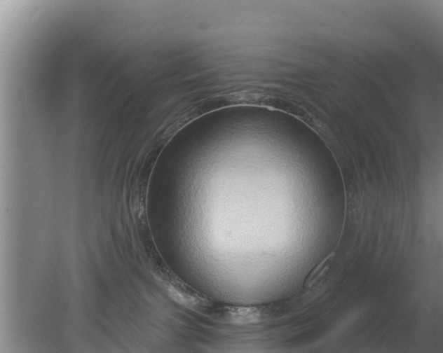 X0000079580091200612152117