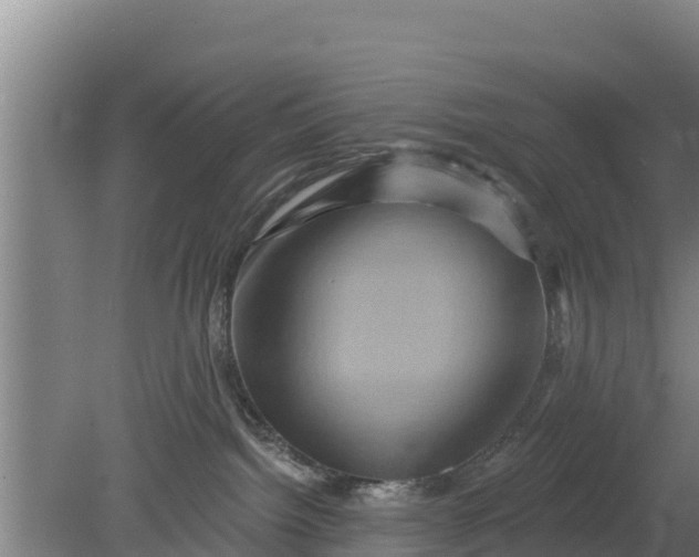 X0000079580092200612152117