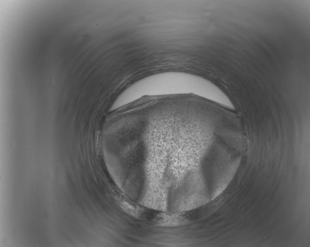 X0000079580093200612152117