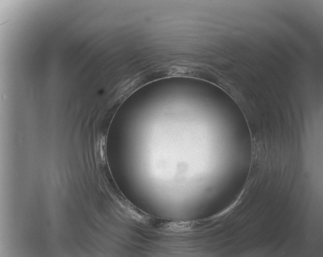 X0000079580094200612152117