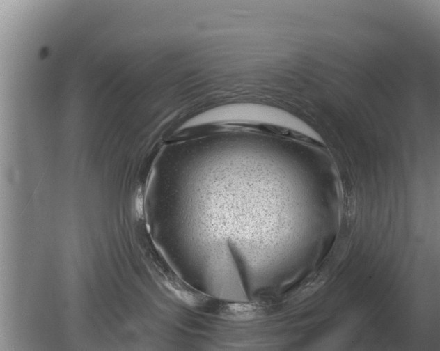 X0000079580095200612152117