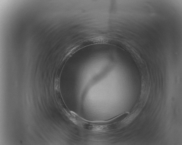 X0000079580096200612152117