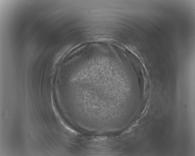 X0000079580097200612152116