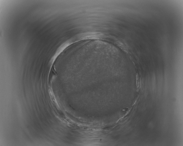 X0000079580099200612152116