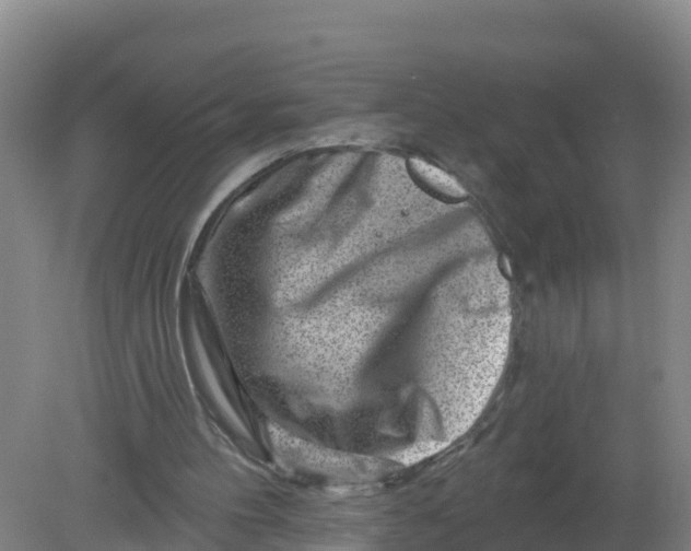 X0000079580100200612152116