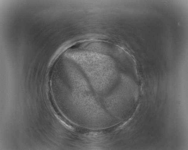 X0000079580101200612152116