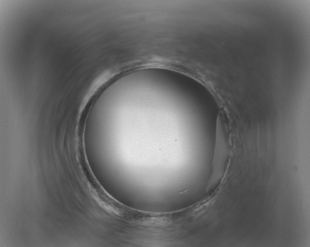 X0000079580102200612152116