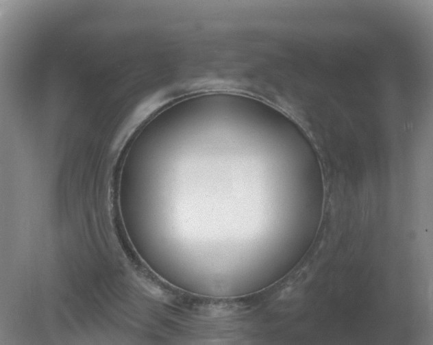 X0000079580103200612152116