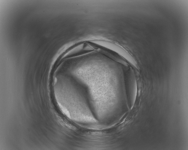 X0000079580104200612152116