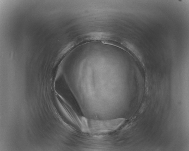 X0000079580105200612152116