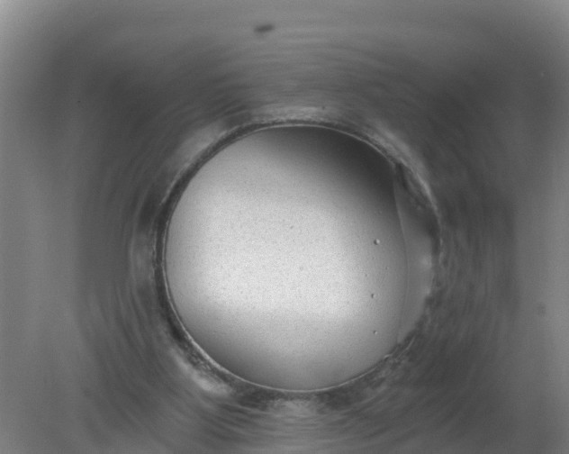 X0000079580107200612152116