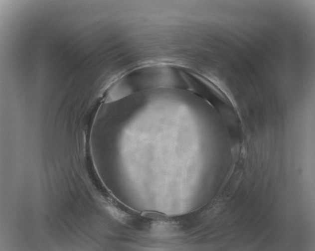 X0000079580109200612152116