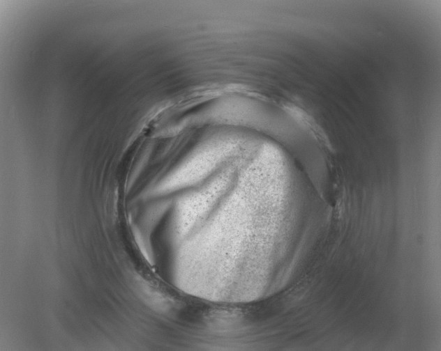 X0000079580110200612152116