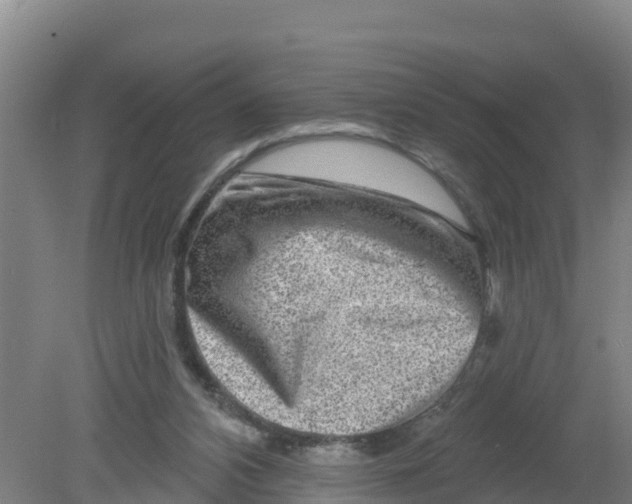 X0000079580112200612152116