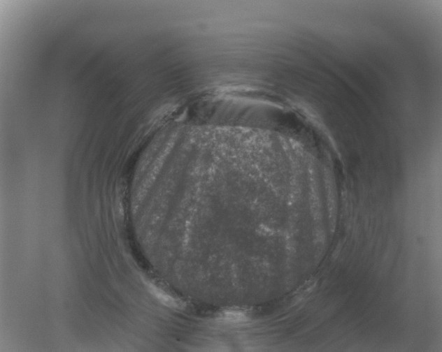 X0000079580114200612152116