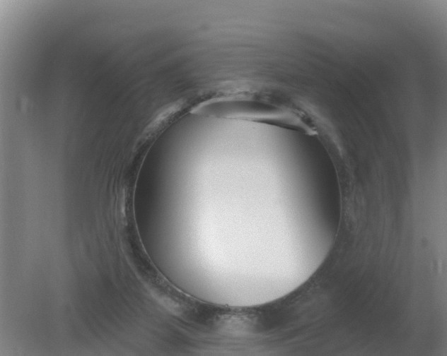 X0000079580115200612152116