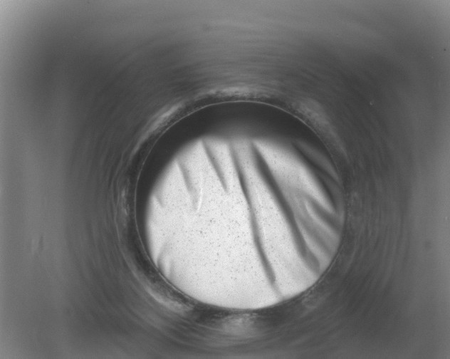 X0000079580116200612152116