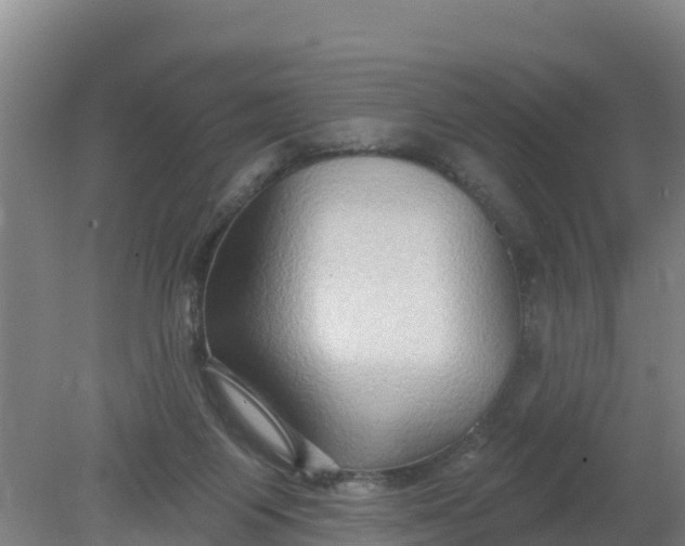 X0000079580119200612152116