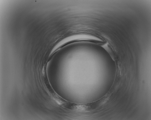 X0000079580121200612152116