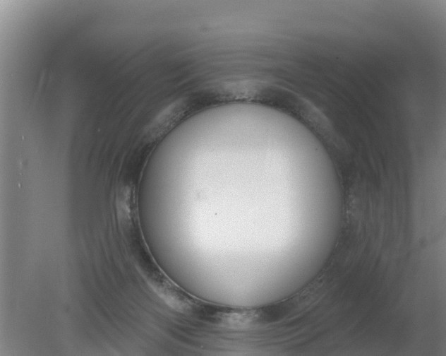 X0000079580122200612152116