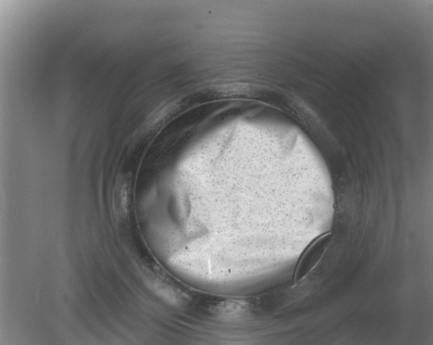 X0000079580124200612152116