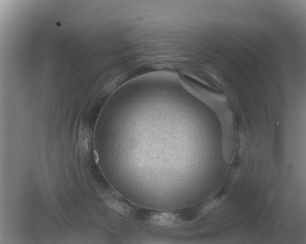 X0000079580125200612152116