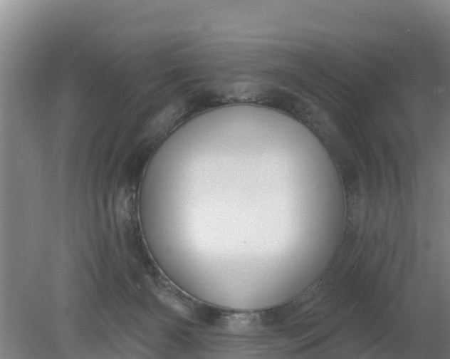 X0000079580126200612152116