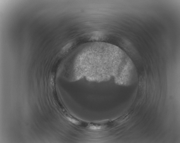 X0000079580127200612152116