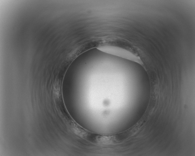 X0000079580129200612152116