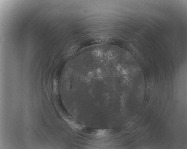 X0000079580130200612152116