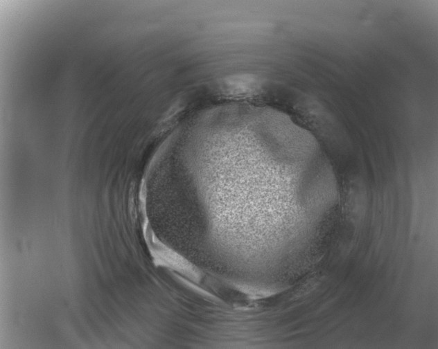 X0000079580131200612152116