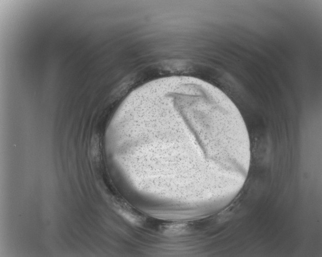 X0000079580132200612152116