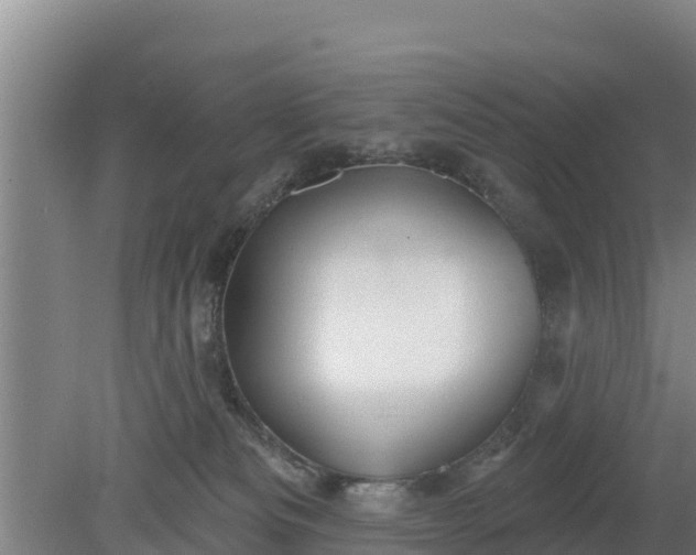 X0000079580133200612152116