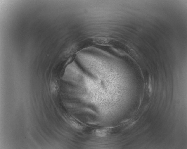 X0000079580134200612152116