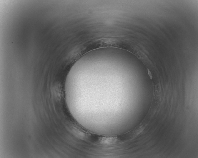 X0000079580135200612152116