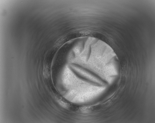 X0000079580136200612152116