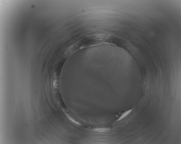 X0000079580137200612152116