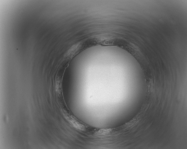 X0000079580138200612152116