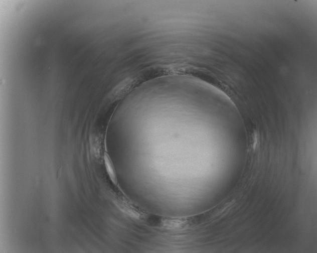 X0000079580139200612152115