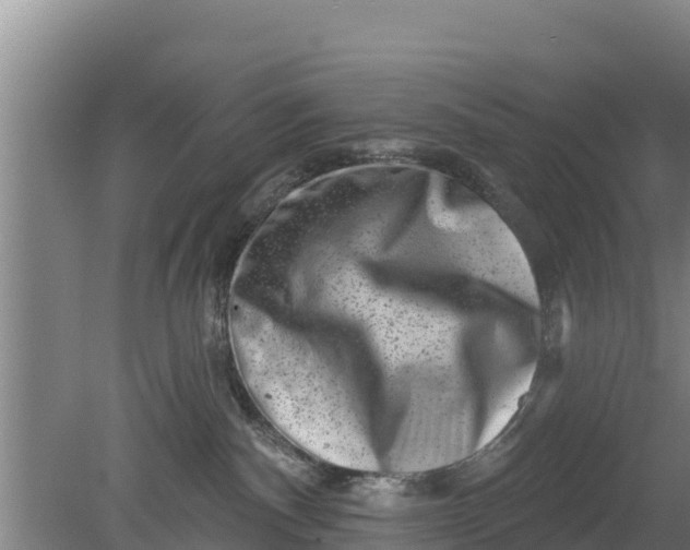 X0000079580140200612152115