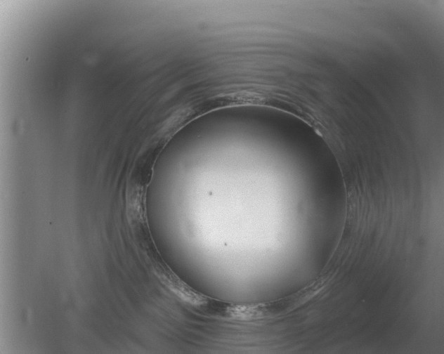 X0000079580141200612152115