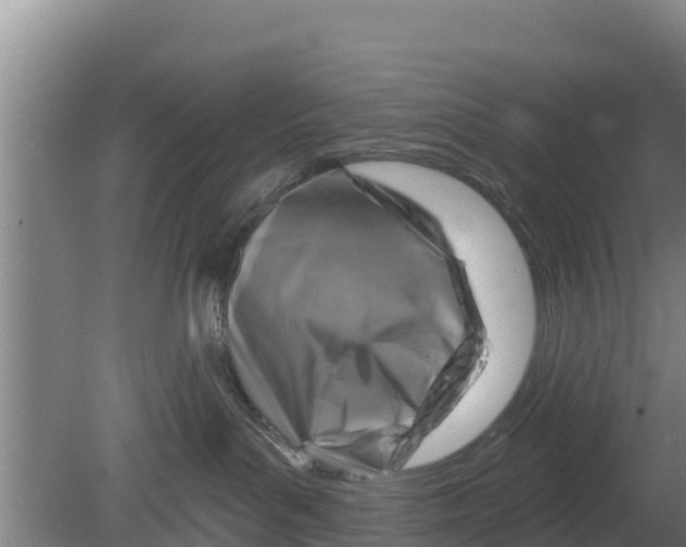 X0000079580143200612152115