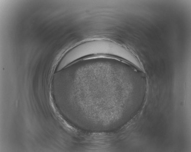 X0000079580145200612152115