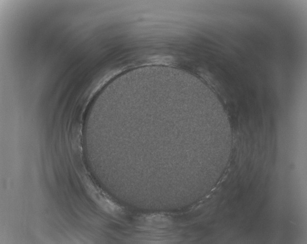 X0000079580146200612152115