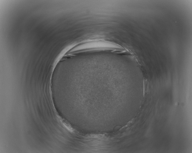 X0000079580147200612152115